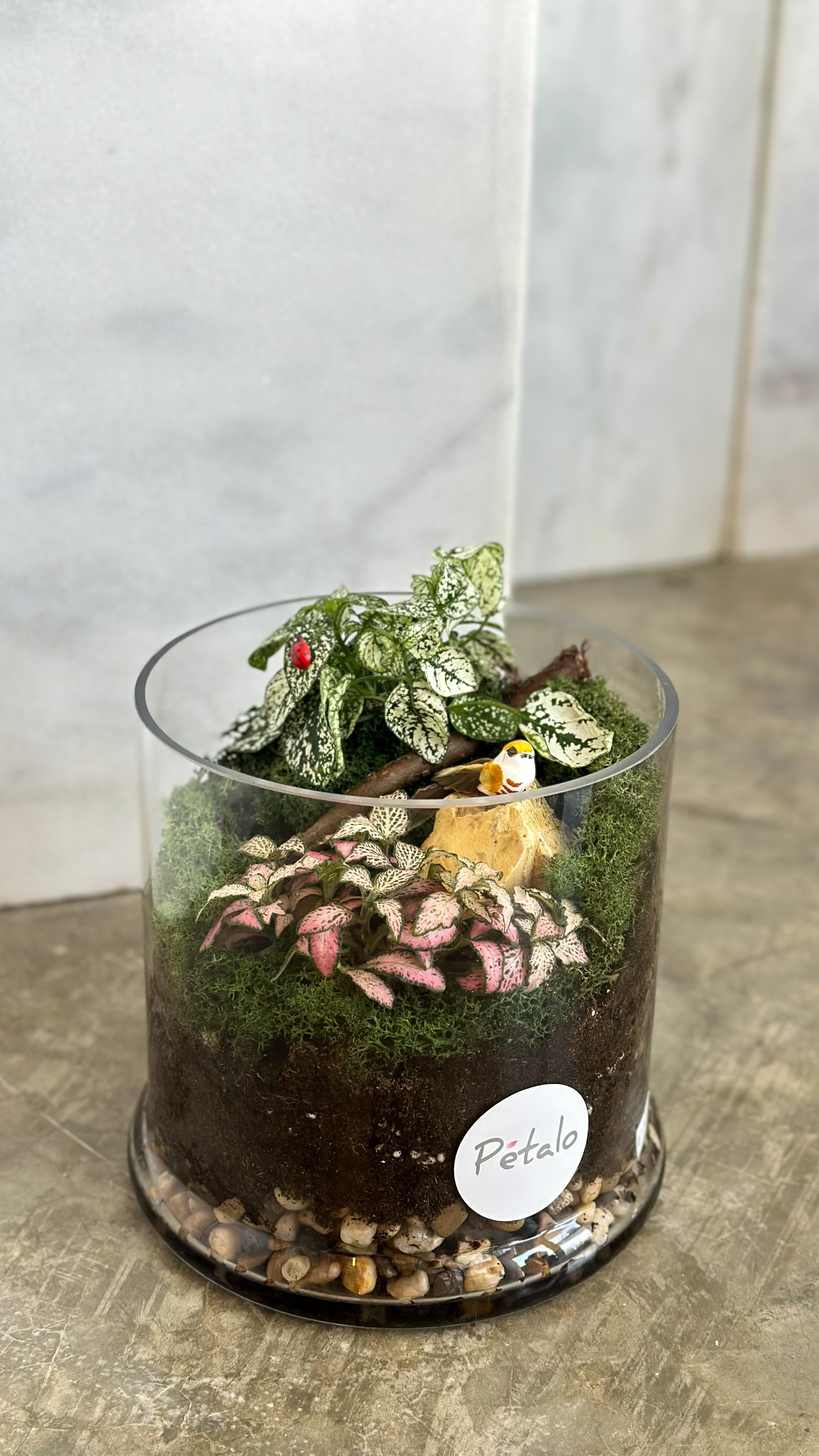 Whimsical Woodland Terrarium